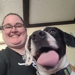 Meet your Posher, Tobi